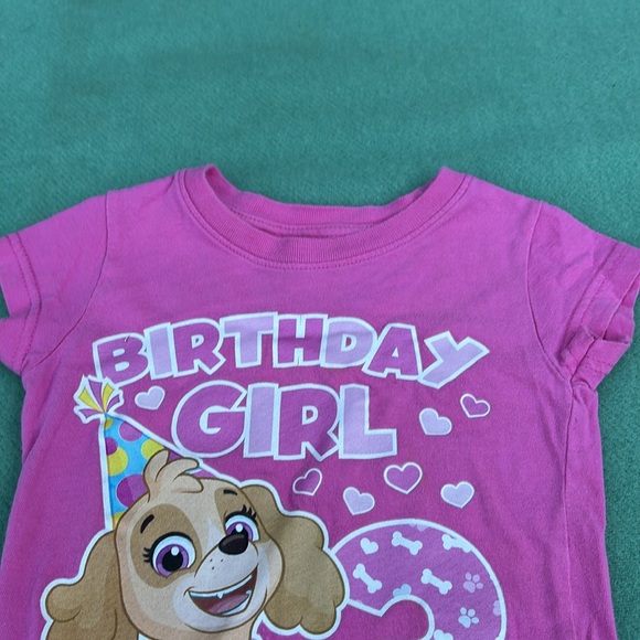Nickelodeon Paw Patrol Pink SS 3rd Birthday Girl T-Shirt with Cartoon Design 2T - Picture 9 of 16